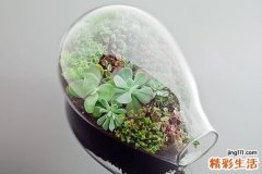 3 芫花的名家选方