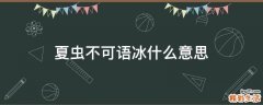 夏虫不可语冰什么意思