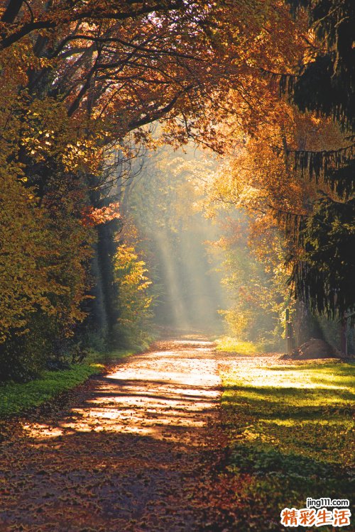 【职场失意应对方法】职场心态如何调整