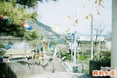 赤石脂丸简介