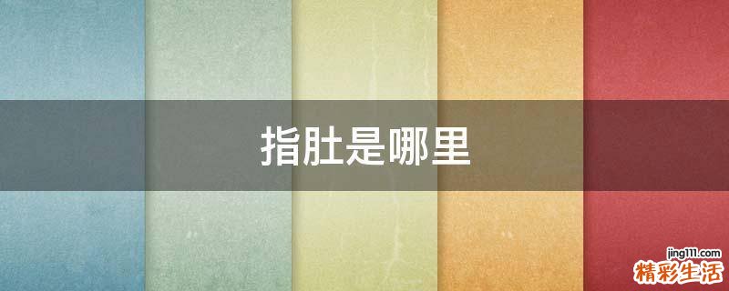 指肚是哪里