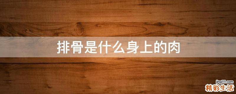 排骨是什么身上的肉