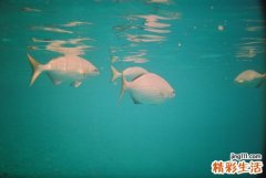 脸洗干净了没5个洁面关键小细节