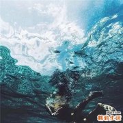 营养搭配：海鲜要“躲着”柿子