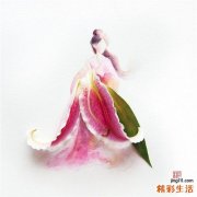 3 谨惕!常吃方便面会得营养缺乏症