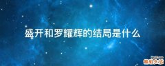 盛开和罗耀辉的结局是什么
