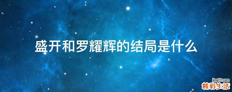 盛开和罗耀辉的结局是什么