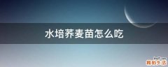 水培荞麦苗怎么吃