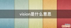 vision是什么意思