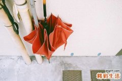 脚气、手气