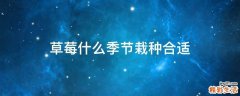 草莓什么季节栽种合适