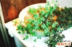心口窝疼是怎么回事