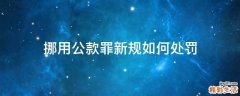 挪用公款罪新规如何处罚