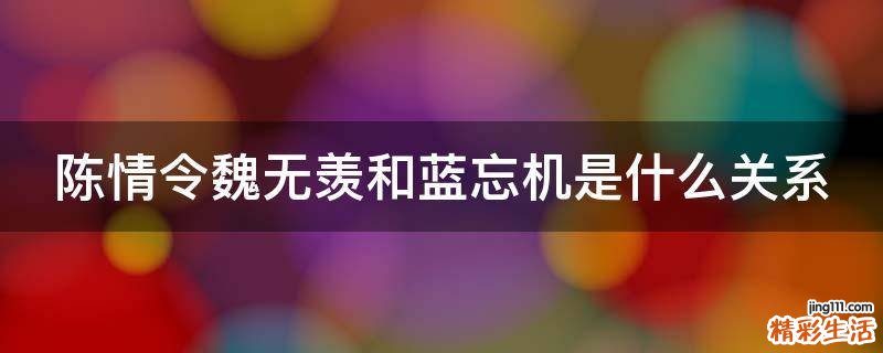 陈情令魏无羡和蓝忘机是什么关系