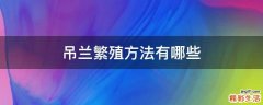 吊兰繁殖方法有哪些