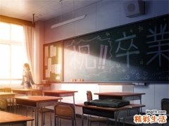 茄子的营养价值与功效