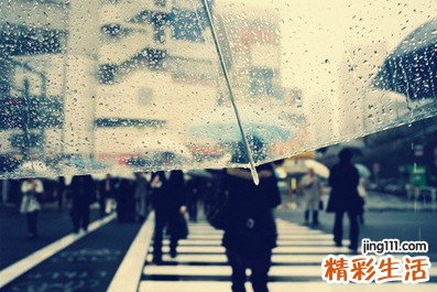 2 小赤麻根