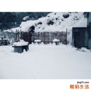 下腹痛看什么科
