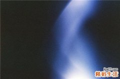 3 毛豆的营养价值功效