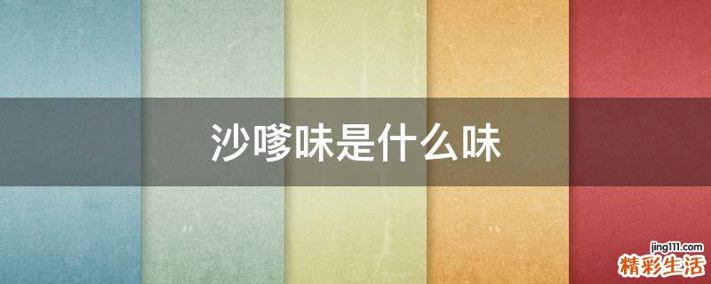 沙嗲味是什么味