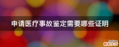 申请医疗事故鉴定需要哪些证明