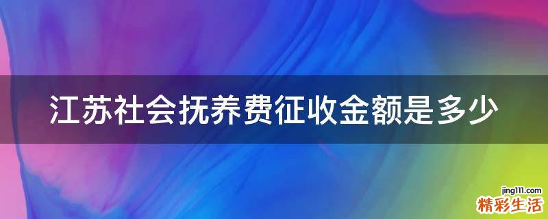 江苏社会抚养费征收金额是多少