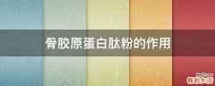 骨胶原蛋白肽粉的作用