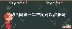 劳动合同签一年中间可以辞职吗
