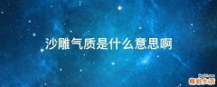 沙雕气质是什么意思啊