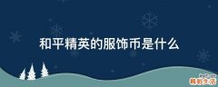 和平精英的服饰币是什么