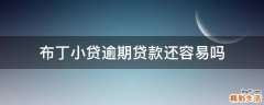 布丁小贷逾期贷款还容易吗