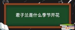君子兰是什么季节开花