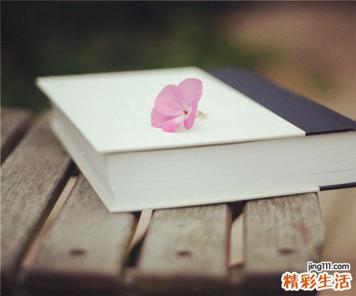 簡單有效中藥藥茶調(diào)治高血壓