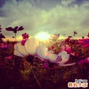 肺炎是怎么引起的