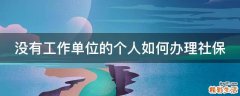 没有工作单位的个人如何办理社保