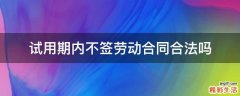 试用期内不签劳动合同合法吗