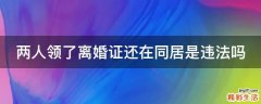 两人领了离婚证还在同居是违法吗