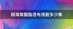 顾海棠胭脂透电视剧多少集