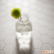 3 百合的功效与食疗作用