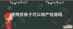 使用权房子可以转产权房吗
