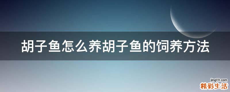 胡子鱼怎么养胡子鱼的饲养方法