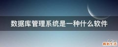 数据库管理系统是一种什么软件