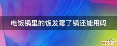 电饭锅里的饭发霉了锅还能用吗
