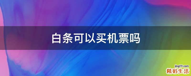 白条可以买机票吗