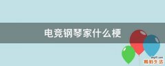 电竞钢琴家什么梗