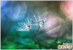 春季护肝养肝小妙招有哪些