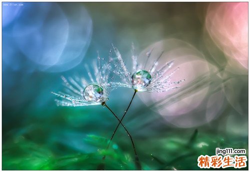 春季护肝养肝小妙招有哪些