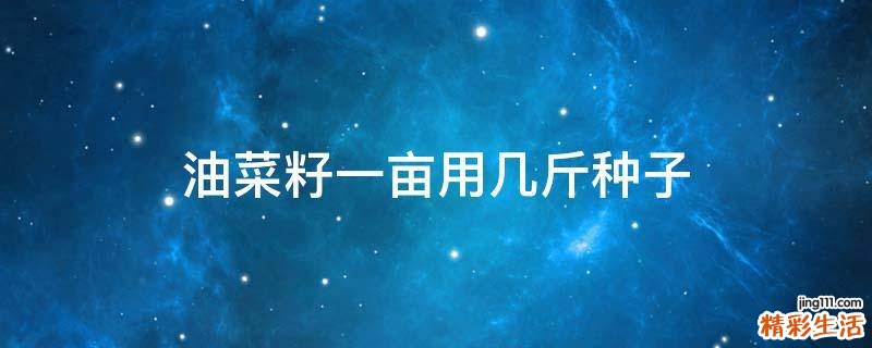 油菜籽一亩用几斤种子