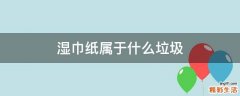 湿巾纸属于什么垃圾