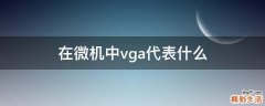 在微機(jī)中vga代表什么